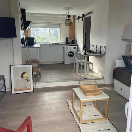 Studio A 15 Mn De Toulouse A Castelginest Экстерьер фото